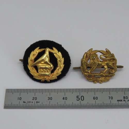 Other Badges Insignia Rhodesia RSAP And Zimbabwe Republic Police
